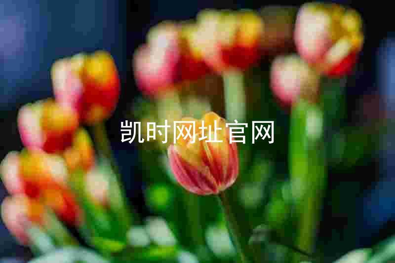 凯时网址官网