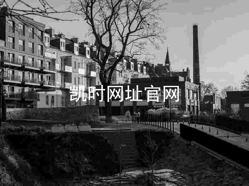 凯时网址官网