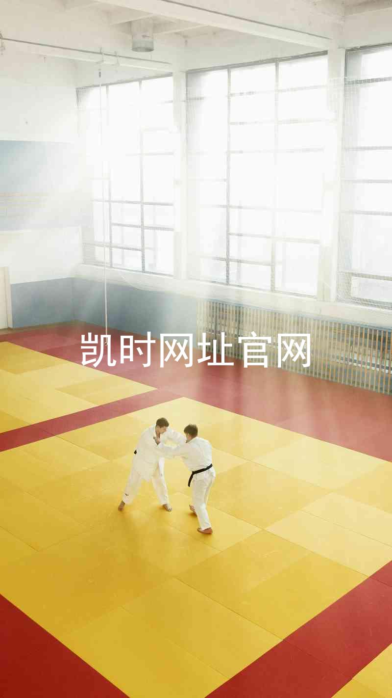 凯时网址官网
