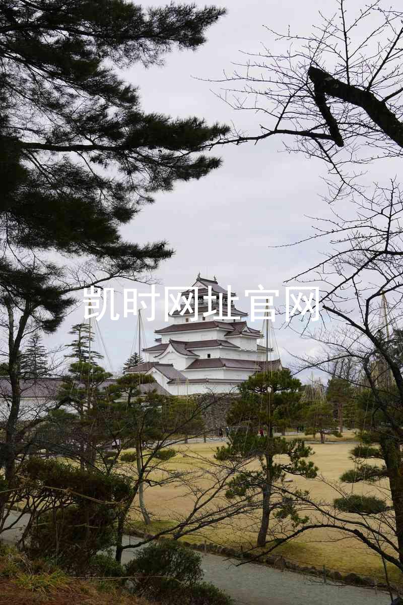凯时网址官网
