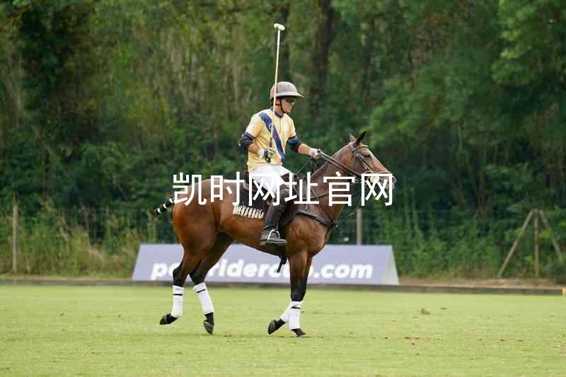 凯时网址官网