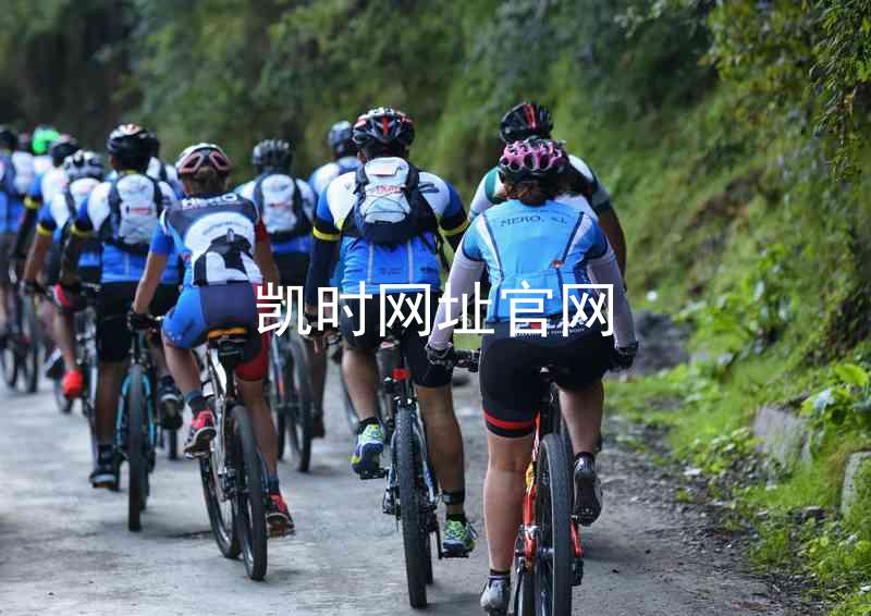 凯时网址官网